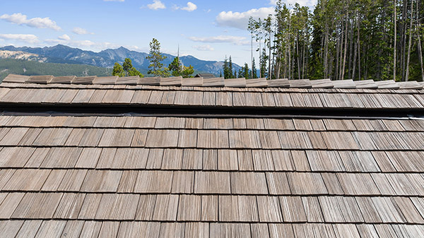 Brava Natural Cedar Pic 9