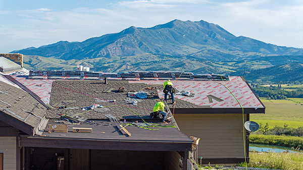 GAF Grand Sequoia - Autumn Brown Pic 11