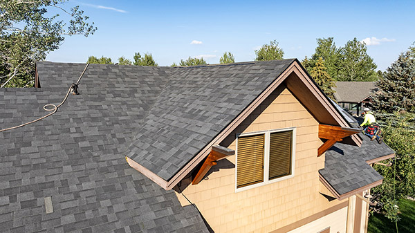 Malarkey Vista - Midnight Black Pic 9