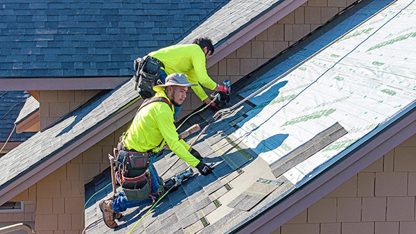 Malarkey Vista - Midnight Black Pic 12